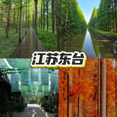 LAO JIE LAO CHU User Photo