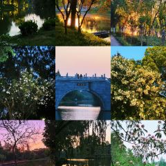 Juzhenyuan Home-Style Cooking User Photo