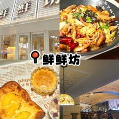 YUANLAOXIANGSHI User Photo