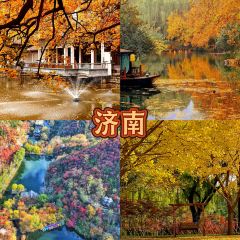 中街吊炉饼鸡蛋糕小吃部 User Photo