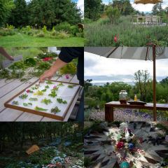 青寂溪谷半山酒店·枫见餐厅 User Photo