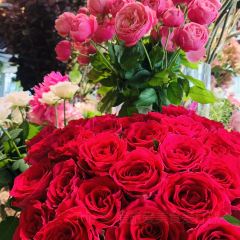 Aoyama Flower Market Green House User Photo