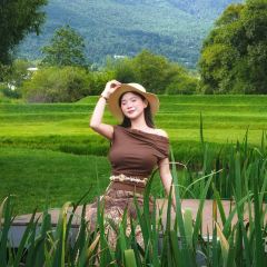 Lijiang Club Med Resorts Amaze Snow Mountain CampTent Restaurant User Photo