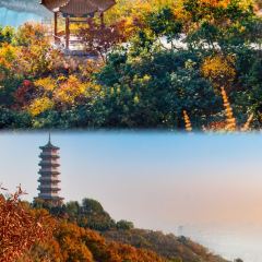 东升灌浆包(辛庄街总店) User Photo