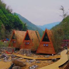 余姚树蛙部落中餐厅 User Photo