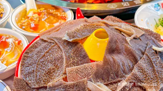 Qi Qing  Bullfrog Meat Fish Head Hot pot (Foshan Branch)