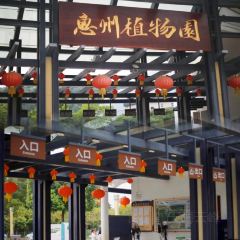 星巴克(華茂店)張用戶圖片