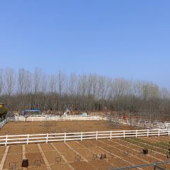 东篱山庄 User Photo