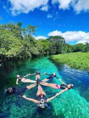 Sucuri River Bonito Ecotourism