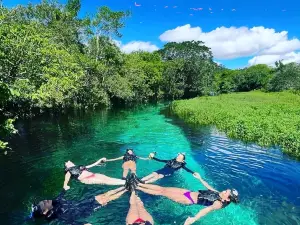 Sucuri River Bonito Ecotourism