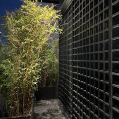 一品荷塘 User Photo