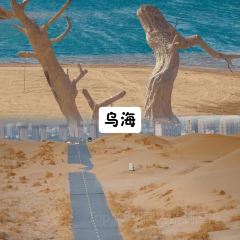 老阿妈蒙餐馆(锦馨园小区店) User Photo