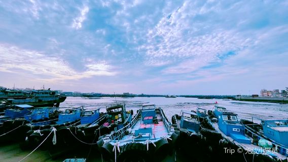 shi shi xiao wei hai ( dong da an )