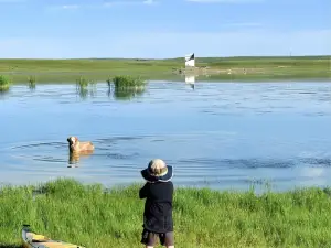 安之与羊