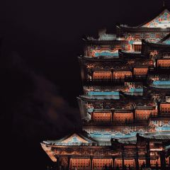 琴園酒家張用戶圖片