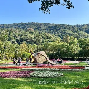 玫瑰園 - 士林官邸