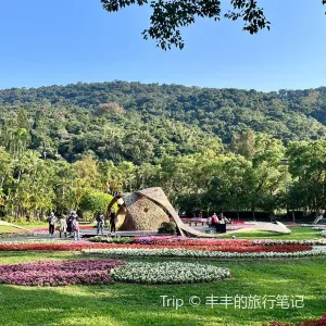 玫瑰園 - 士林官邸