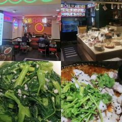 漁哥活魚張用戶圖片