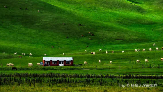Inner Mongolia Prairie