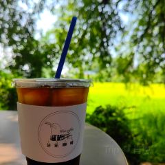 许苑咖啡 User Photo