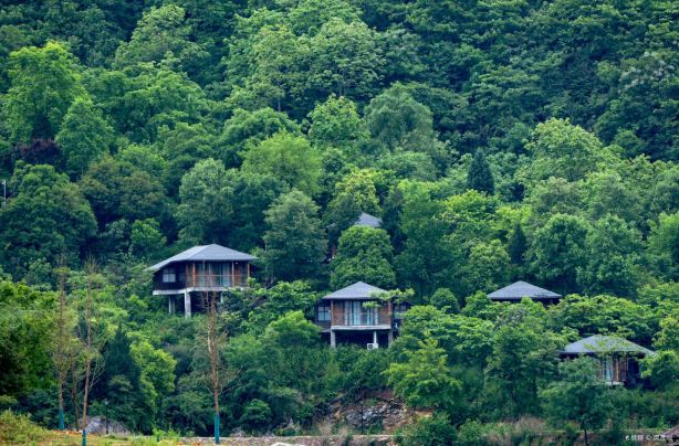 Lion Rock Ecotourism Area
