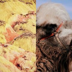 Mogouyan Beef Noodles (wujiayuan) User Photo