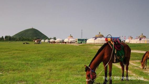 a la tai cao yuan du jia zhong xin