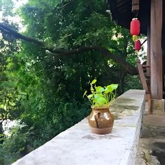 石江小院 User Photo