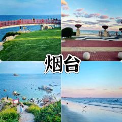 張記煎餅張用戶圖片