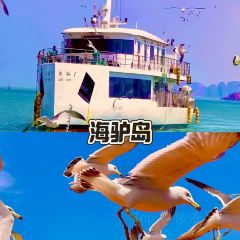 海鲜大咖(杏林西区店) User Photo