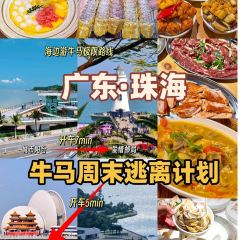 FULL Hainanese Chicken Rice User Photo