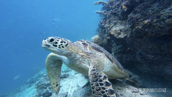 Mantanani Kechil Island