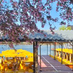 PURPLE MOUNTAIN GARDEN User Photo