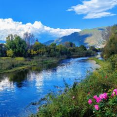 村边·合CAFE User Photo