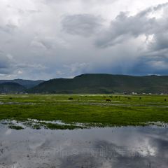 半途而沸 白塔·观景咖啡 User Photo