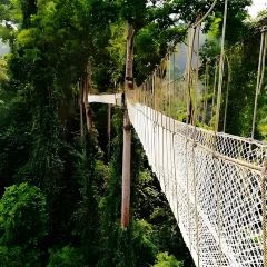 喃公主·東南亞主題餐廳（告莊店）張用戶圖片