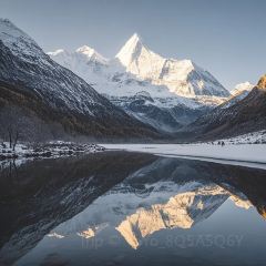 ZA QI ZA BA NIU ZA TANG GUO User Photo