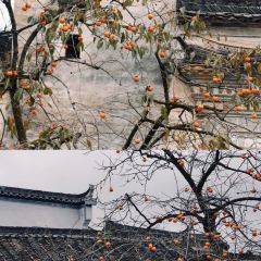 DE YUE LOU User Photo