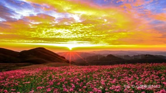 a xi li xi · jiu cai ping - guan jing ting