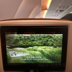 Plaza Premium Lounge User Photo