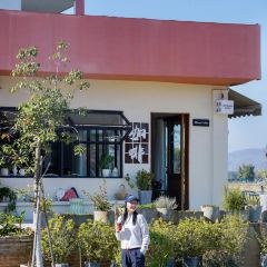 丽谯咖啡Loustland coffee User Photo