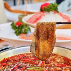 不二火锅MUSIC ISLAND(新都店) User Photo