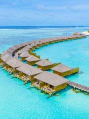 You & Me by Cocoon Maldives