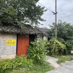 Wufangzhai (shendang) User Photo