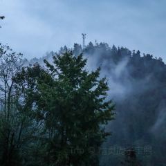 左家村休闲农庄 User Photo