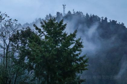 左家村休闲农庄