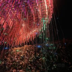 TICHUCA ROOFTOP BAR User Photo