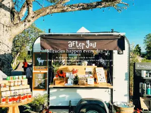 Midwinter Khaoyai