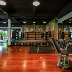 Baba nest User Photo