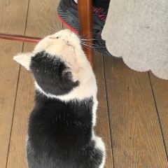 山水舫張用戶圖片